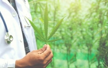 Medical Cannabis: Regulation of prescription and distribution