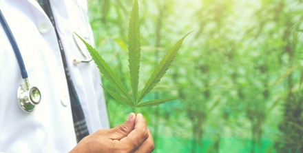 Medical Cannabis Business in Cyprus: Legislation, License, and the promising opportunity to cultivate Medical Cannabis